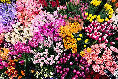 消息要来！如龙工作室9月24日举办两场背靠背直播