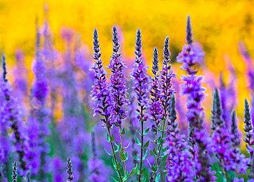 经典电影改编《比尔和泰德的超棒复古合集》主机发售